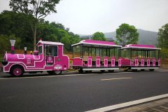 無軌小火車的注意事項及選擇