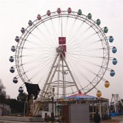 自控飛機在運行時出現(xiàn)緊急情況后怎么處理？